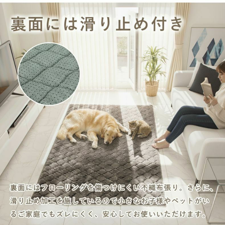 無地ラグ | 蓄熱ラグ フェリス