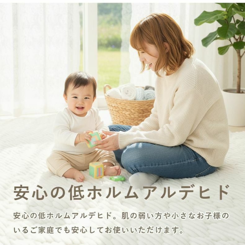 無地ラグ | 蓄熱ラグ フェリス