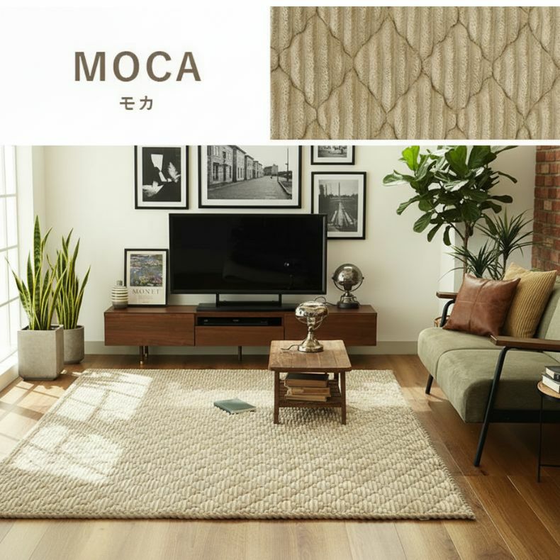 無地ラグ | 蓄熱ラグ フェリス