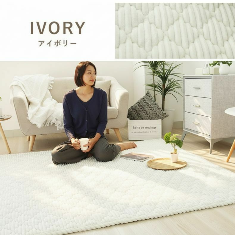 無地ラグ | 蓄熱ラグ フェリス