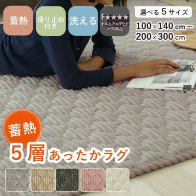 蓄熱ラグ フェリスのサムネイル