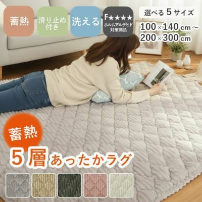 蓄熱ラグ フェリスのサムネイル