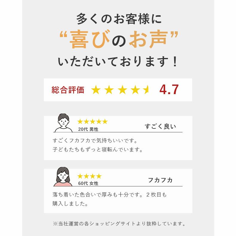 無地ラグ | ラグ はっ水ロジャー