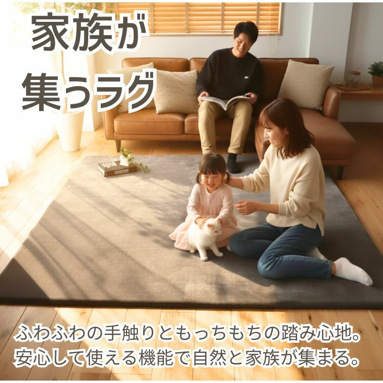 無地ラグ | ラグ はっ水ロジャー