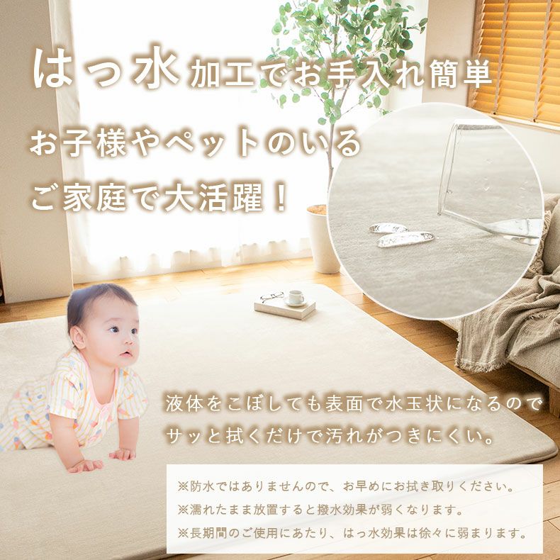 無地ラグ | ラグ はっ水ロジャー