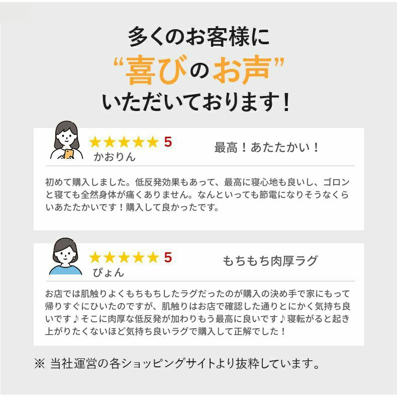 無地ラグ | ラグ はっ水ロジャー