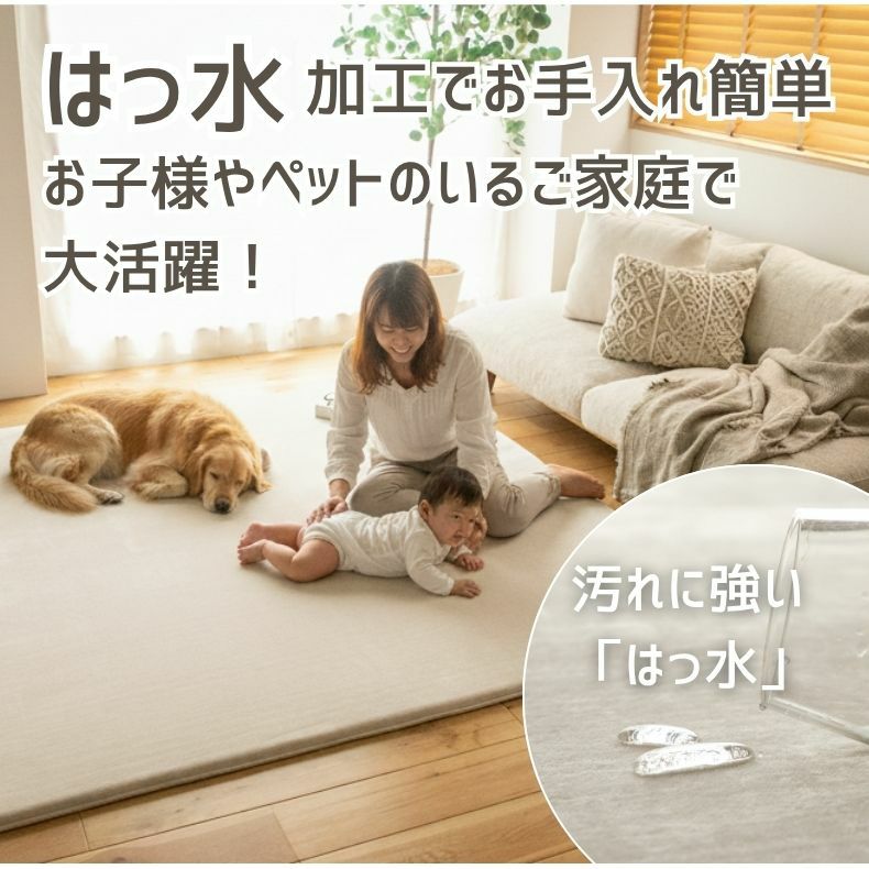 無地ラグ | ラグ はっ水ロジャー