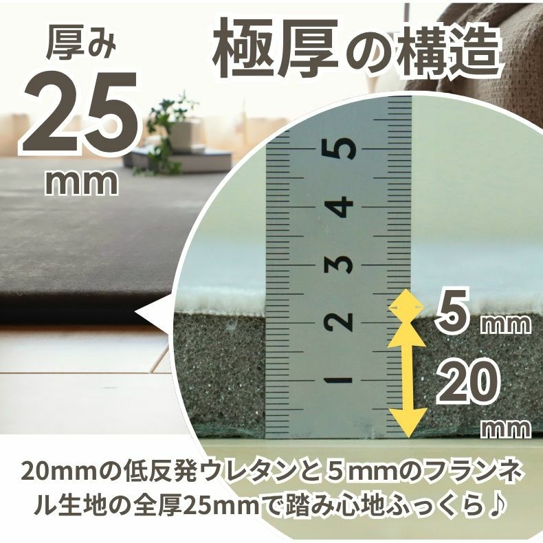 無地ラグ | ラグ はっ水ロジャー