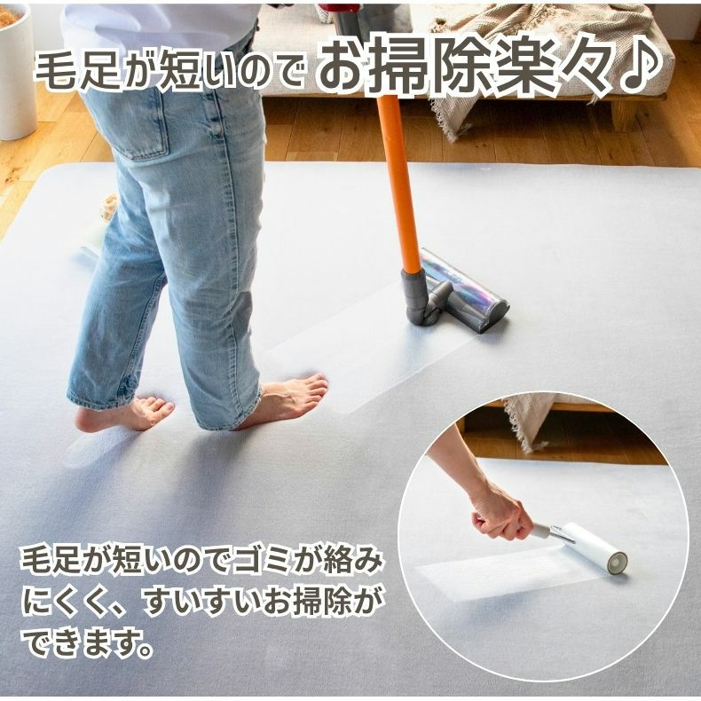 無地ラグ | ラグ はっ水ロジャー