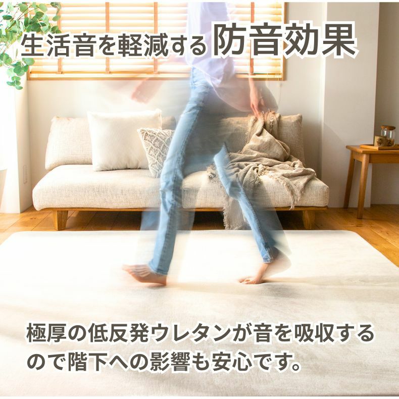 無地ラグ | ラグ はっ水ロジャー