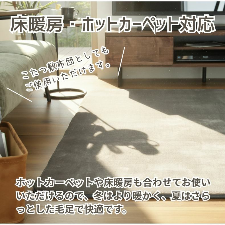 無地ラグ | ラグ はっ水ロジャー