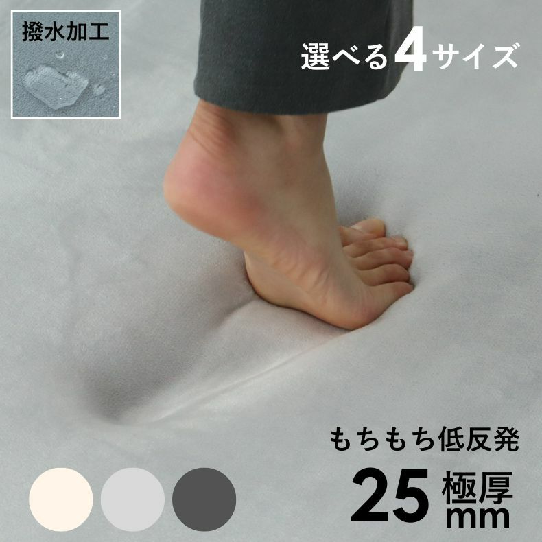 無地ラグ | ラグ はっ水ロジャー