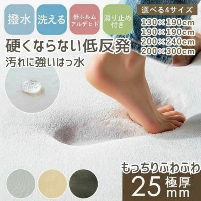 ラグ はっ水ロジャーのサムネイル