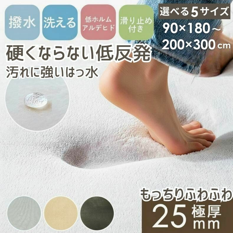 ラグ はっ水ロジャーのサムネイル