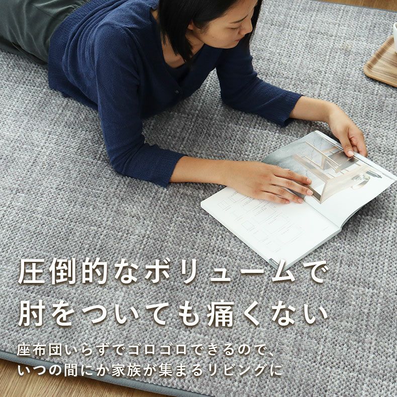 無地ラグ | ラグ ゴロリ