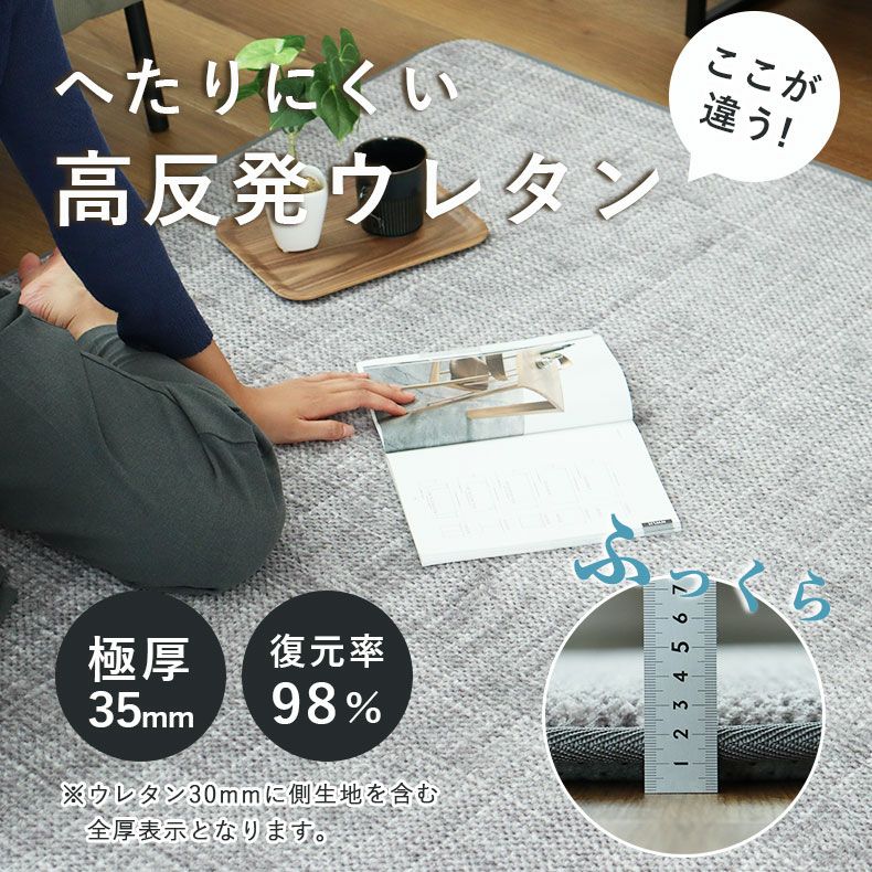 無地ラグ | ラグ ゴロリ