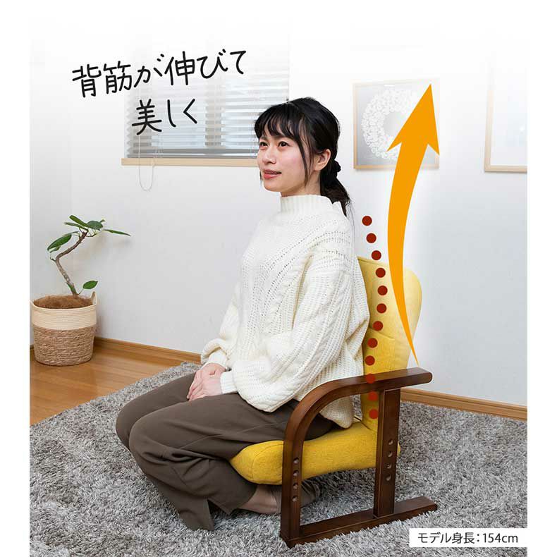 座椅子 | 【通販限定】あぐら座椅子リッチタイプ ソルム