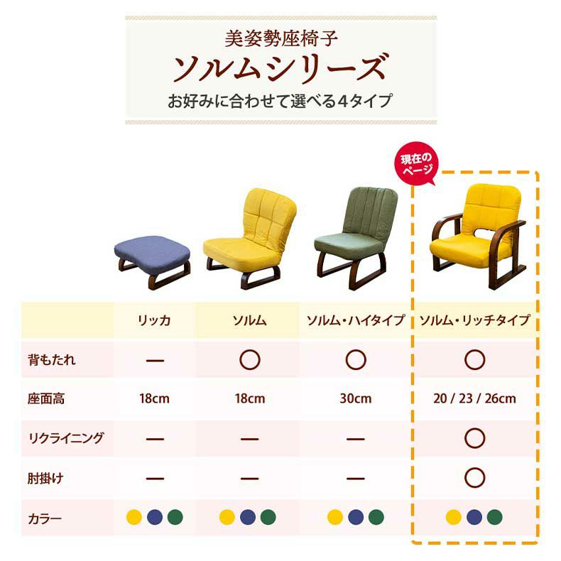 座椅子 | 【通販限定】あぐら座椅子リッチタイプ ソルム