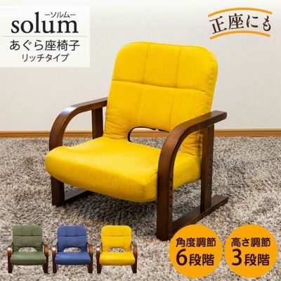 【通販限定】あぐら座椅子リッチタイプ ソルムのサムネイル