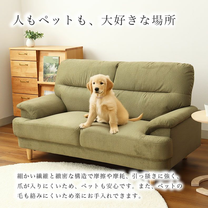 ２人掛けソファ | 撥水 ペット 引っかきに強い 2人掛け ソファ スマート