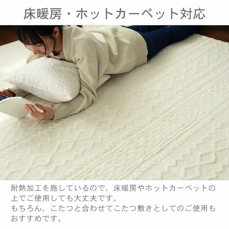 無地ラグ | 洗えるラグ ソフィス