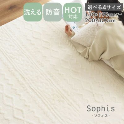 洗えるラグ ソフィスのサムネイル