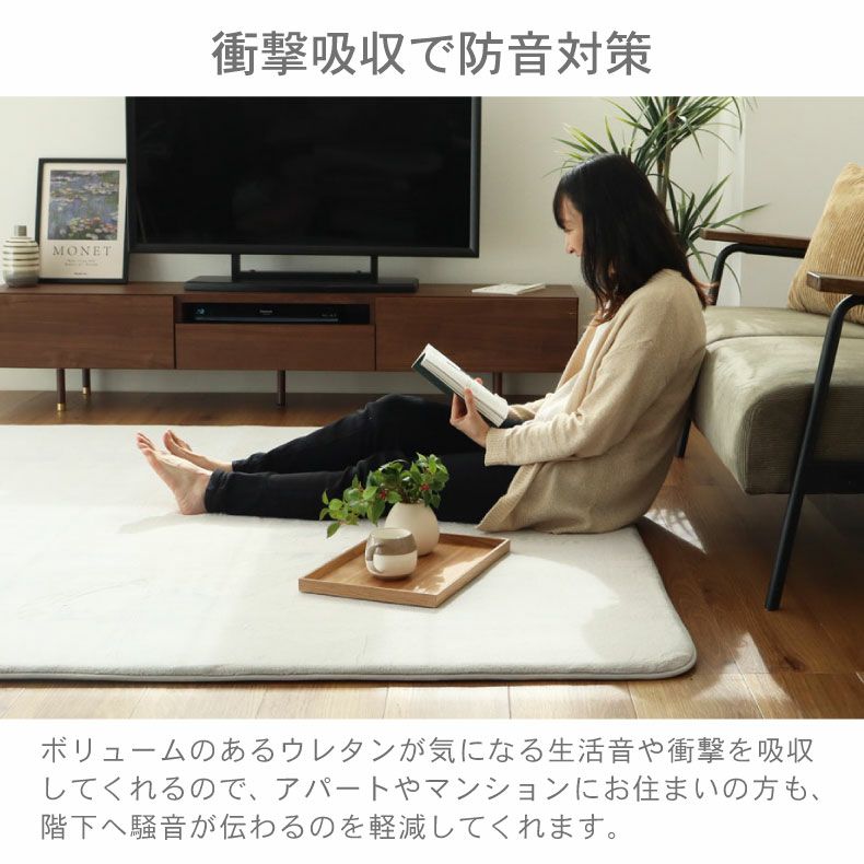 無地ラグ | ラグ マナヒートプラス