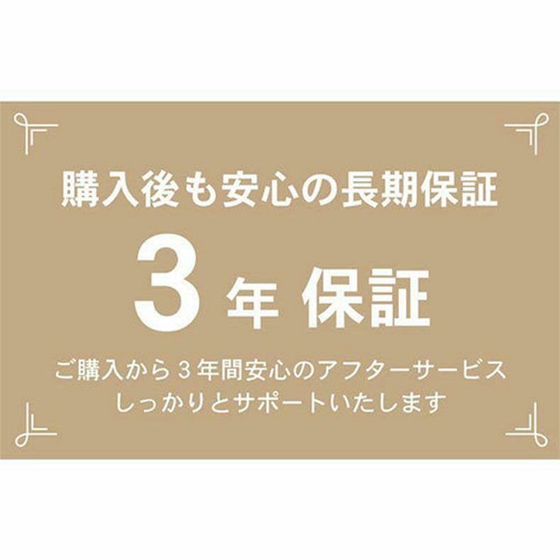 電動ソファ | 1人用電動リクライナー レーニア3