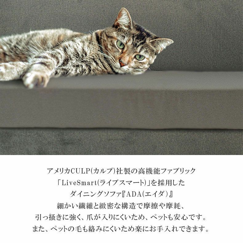 ダイニングベンチ | 右カウチ ソファ 撥水 ペット 引っかきに強い LD ダイニング ベンチ エイダ