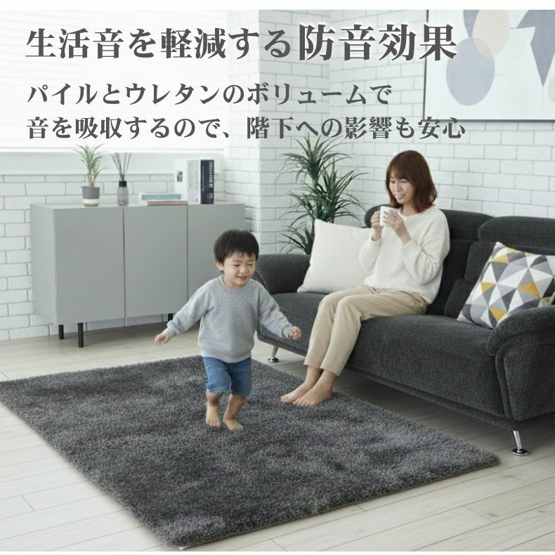 無地ラグ | 低反発ラグ シャンティア
