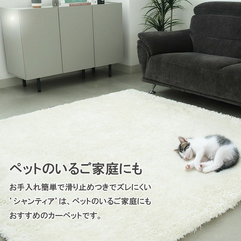 無地ラグ | 低反発ラグ シャンティア