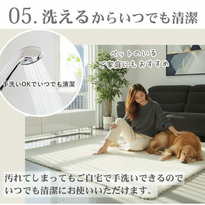 無地ラグ | 低反発ラグ シャンティア