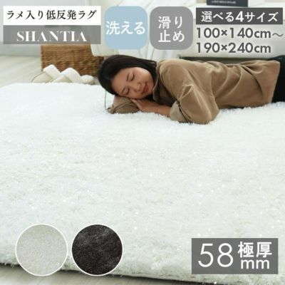 低反発ラグ シャンティアのサムネイル