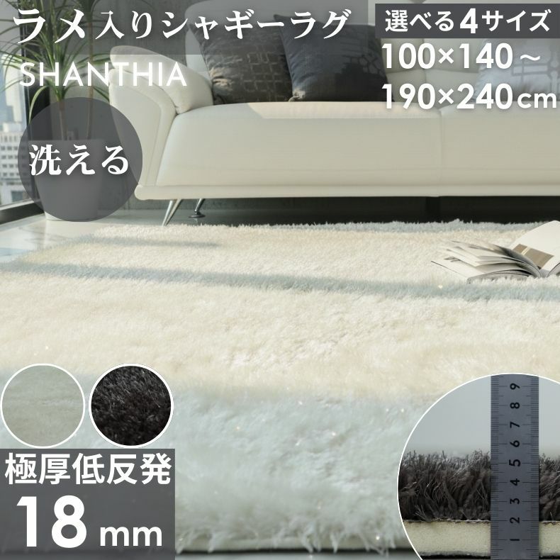 低反発ラグ シャンティアのサムネイル