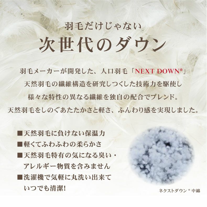 掛け布団・羽毛布団 | 次世代 掛け布団 ネクストダウン2