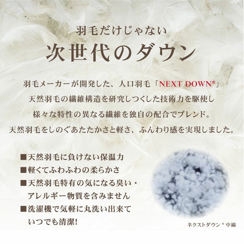 まくら | 43×63　ネクストダウン2ピロー 枕 洗える ふかふか