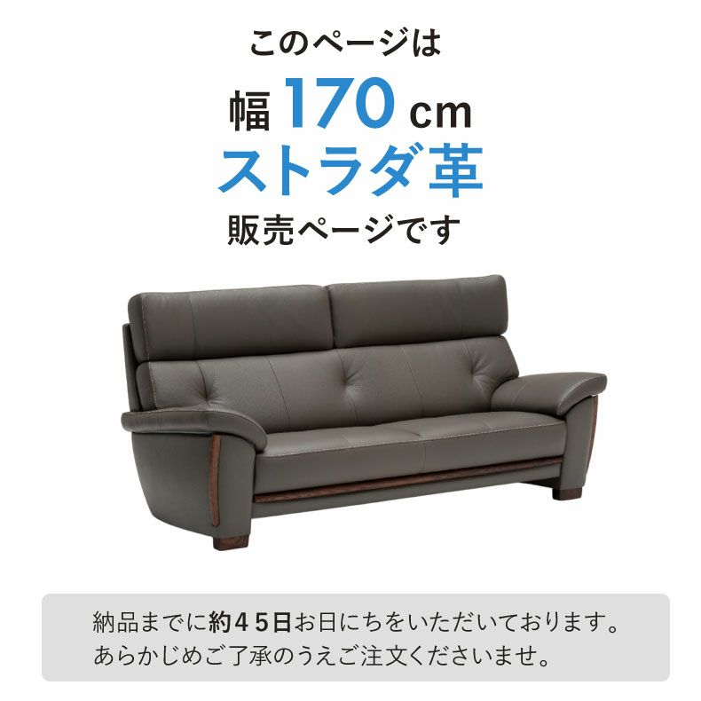 ２人掛けソファ | 【カリモク マナベオリジナル】 2.5人掛けソファ マーキュリー ストラダ革