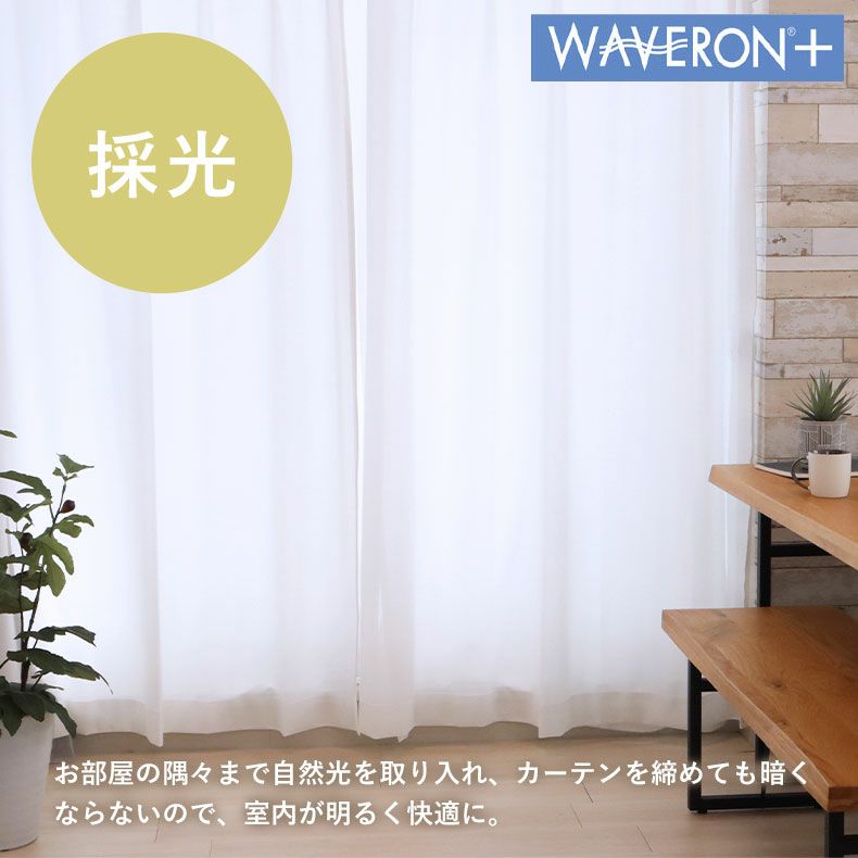 レースカーテン（薄地） | 2枚入り  遮像 レースカーテン Wリード