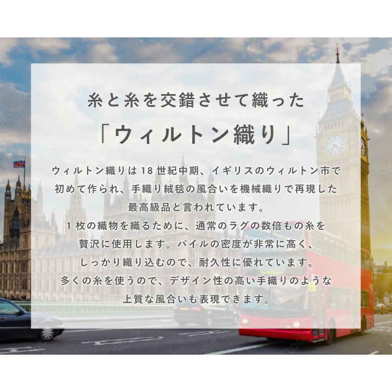 無地ラグ | ウィルトンラグ メロエ